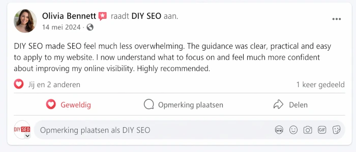 DIY SEO Reviews Olivia